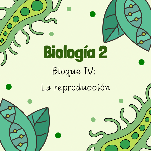 Producto - Bloque III: La reproducción