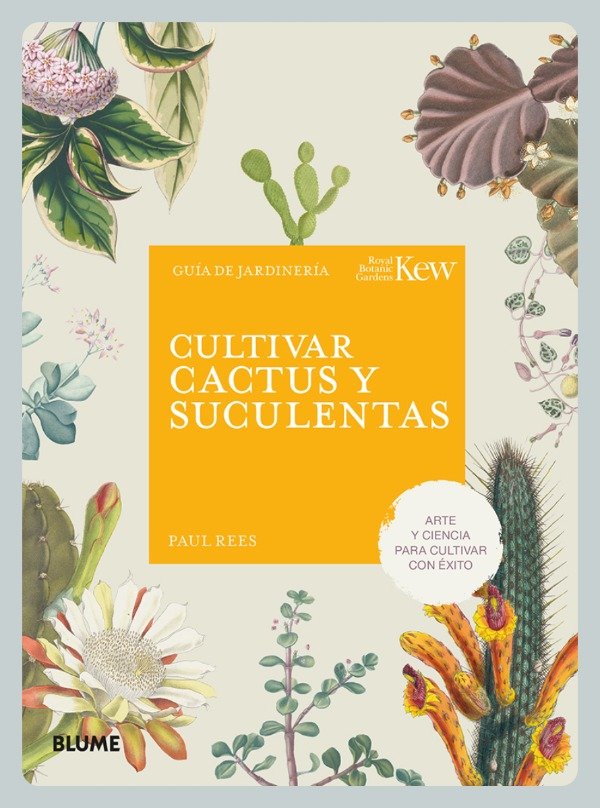 Producto - Rees: Cultivar Cactus y Suculentas