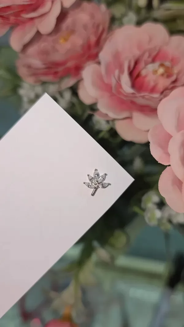 Producto - Piercing hoja labret AQ