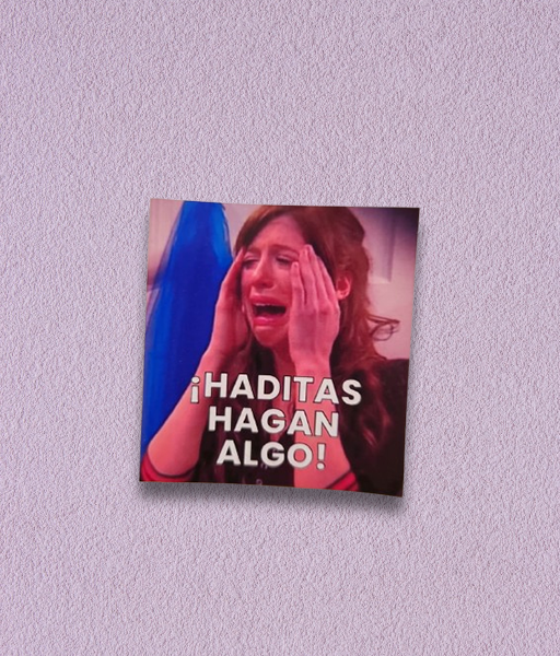 Producto - STICKER FOTOGRÁFICO FLORICIENTA -Haditas