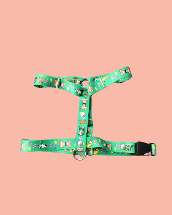 Producto - Pretal en H sublimado - Talle 4