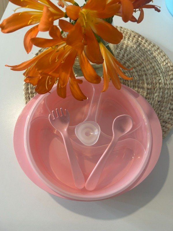 Producto - PLATO TERMICO