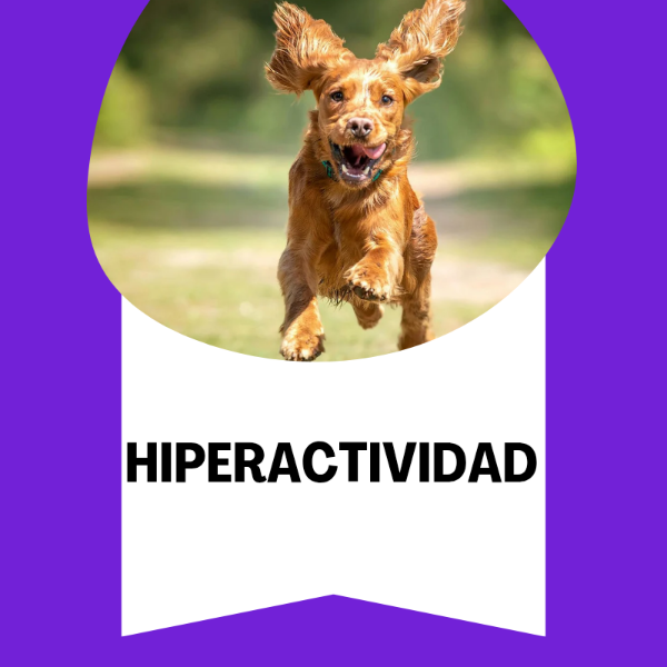 Producto - Hiperactividad