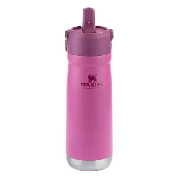 Producto - BOTELLA CON PICO SIMIL STANLEY FUCSIA