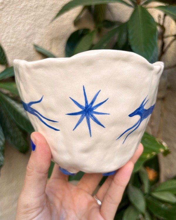 Producto - Bowl Perro estrella