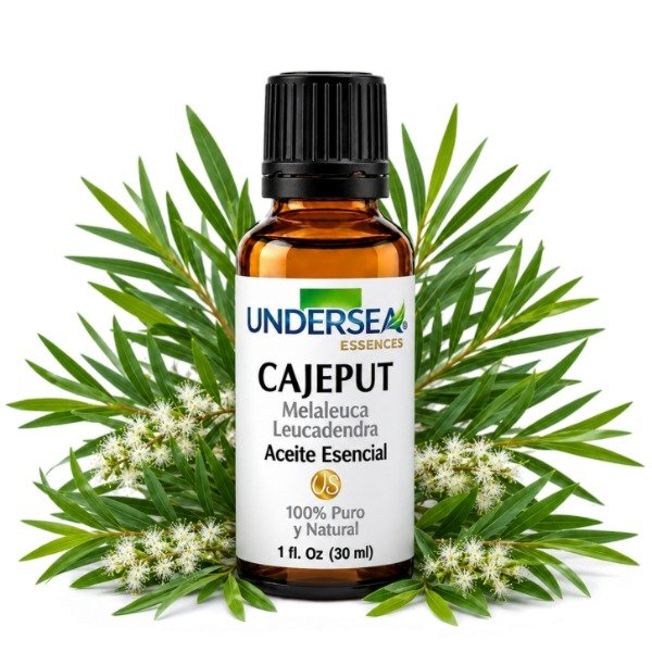 Producto - ACEITE ESENCIAL DE CAJEPUT (MELALEUCA LEUCADENDRA)