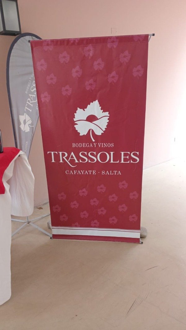 Producto - Banner publicitario con estructura doble tensor 1.90x0.90 m