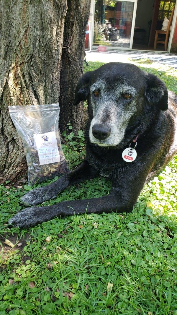 Producto - Mix Troya: pulmón,mondongo, hígado, corazón