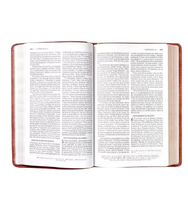 Producto - BIBLIA NBLA ULTRAFINA LETRA GRANDE - Marrón - 2