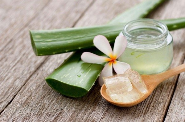 Producto - GEL DE ALOE VERA