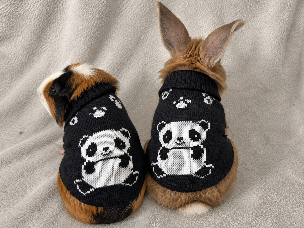 Producto - Ponchito tejido oso panda