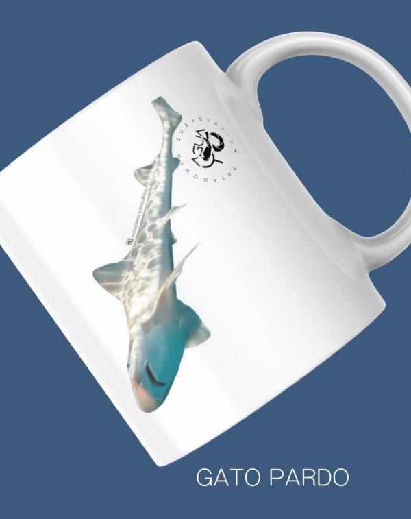 Producto - TAZAS  varios modelos