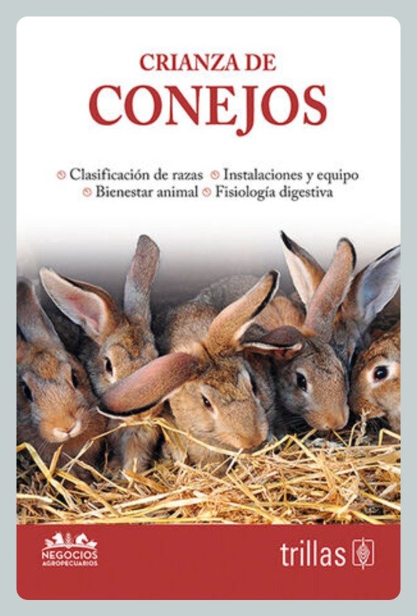 Producto - Crianza de Conejos