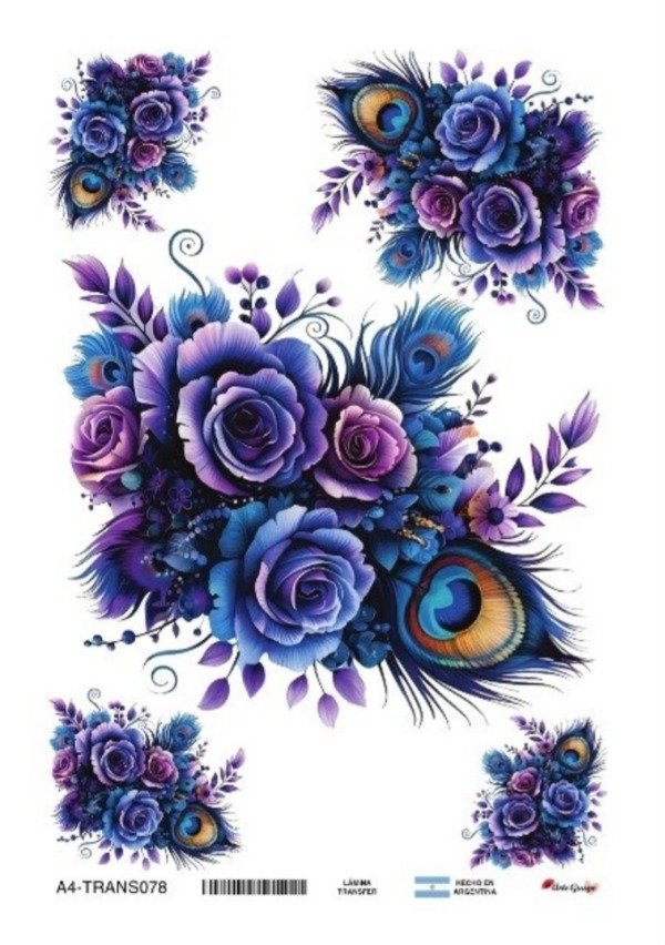Producto - Transfers TRANS078