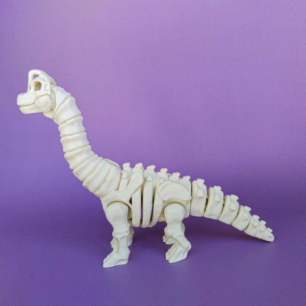 Producto - Esqueleto de Braquiosaurio - 3