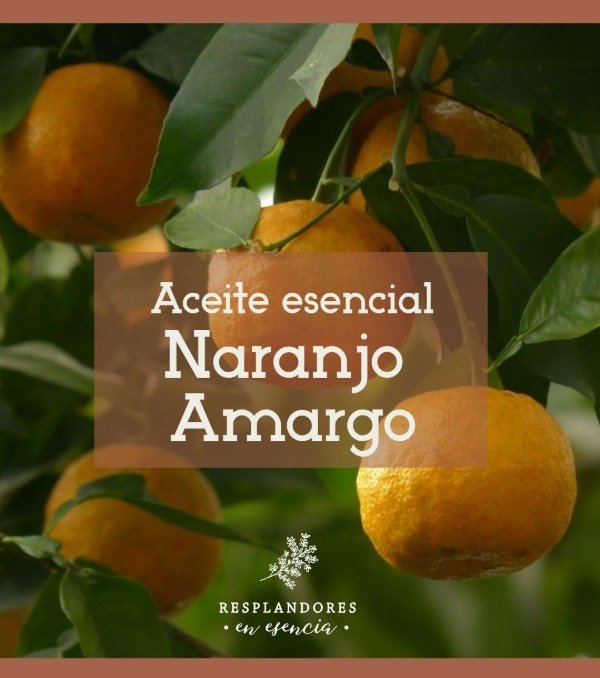 Producto - Ac Esencial Naranja Amarga