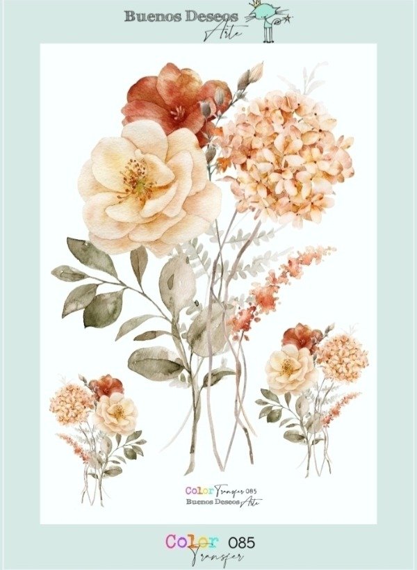 Producto - Transfers Color 085