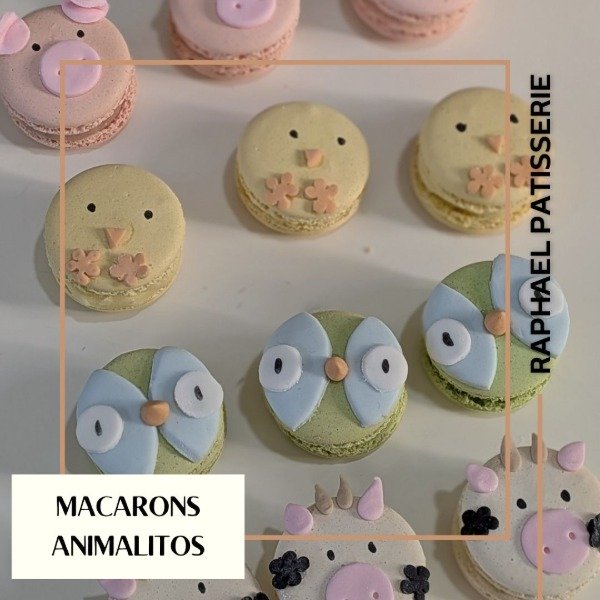 Producto - Macarons animalitos x 12 u