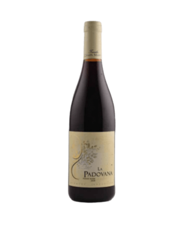 Producto - La Padovana Pinot Noir Reserva by Canepa Martin