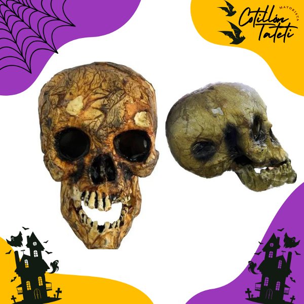 Producto - CALAVERA DE LA ANTIGÜEDAD - 16x15x21 CM