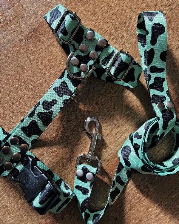 Producto - Pretal y correa VAQUITA GREEN