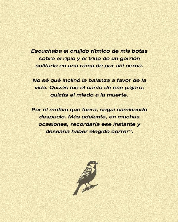 Producto - Preventa - Direct Action: Memorias de una guerrillera urbana - Ann Hansen - 7