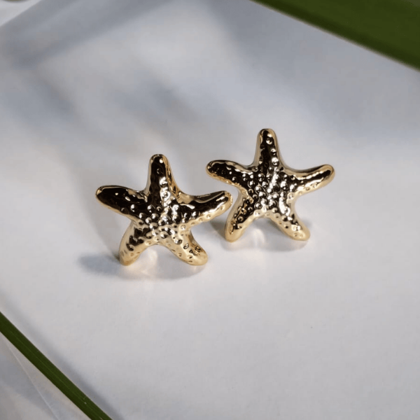 Producto - Aros Chunky estrella de mar