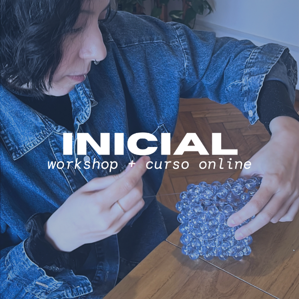 Producto - Workshop inicial + Curso online Úrsula - 0