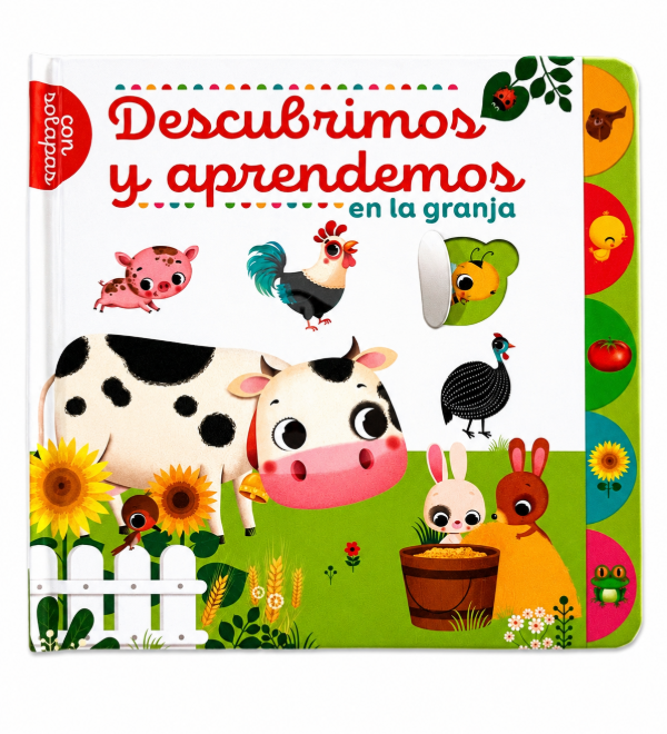 Producto - Descubrimos y aprendemos - Pl