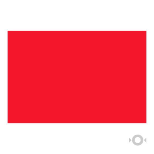 Producto - CARTULINA COLOR ROJA