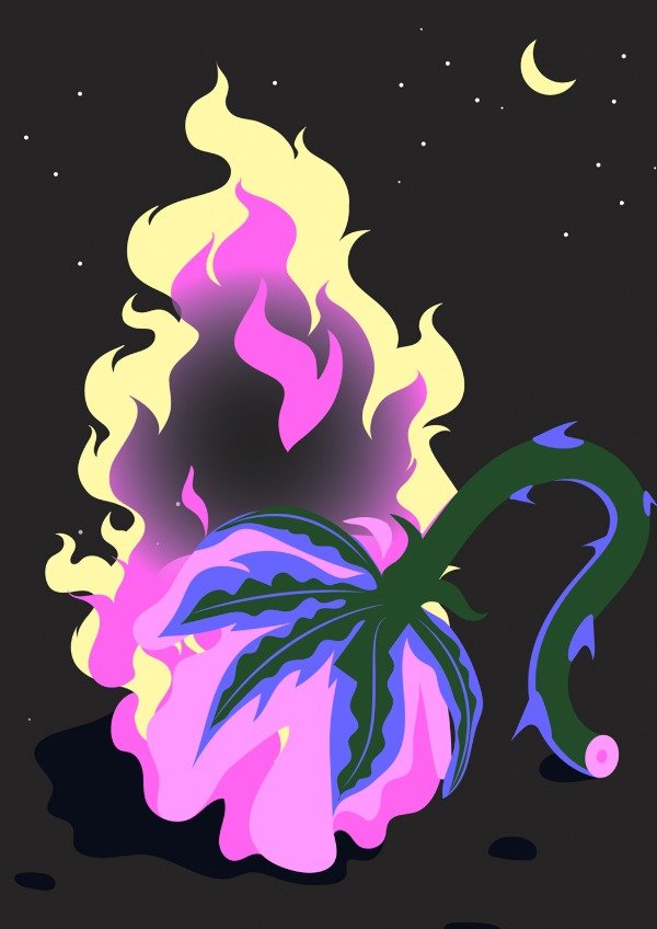 Producto - Lamina Rosa Fuego