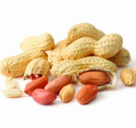 Producto - MANI (CON CASCARA) (1kg)