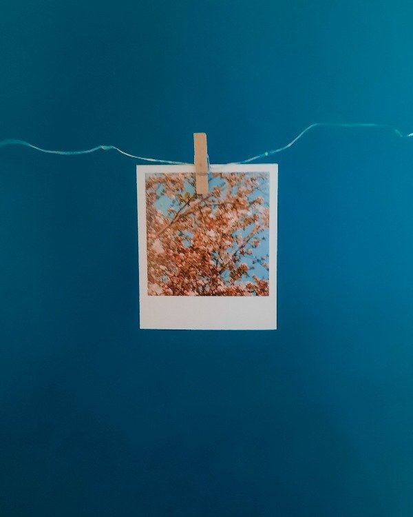 Producto - #MásClásicas Iluminadas