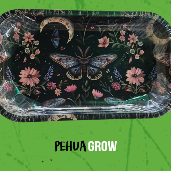 Producto - bandeja mariposa