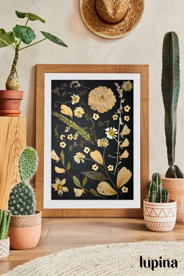 Producto - Cuadro fondo negro Monocromo I