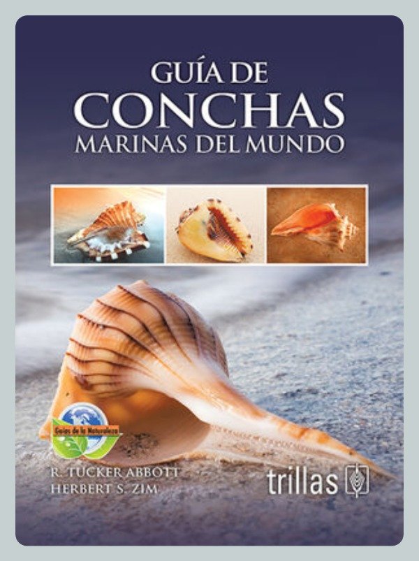 Producto - Tucker: Conchas Marinas del Mundo