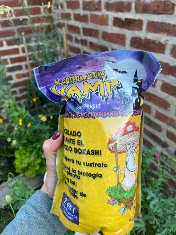 Producto - MICROORGANISMOS