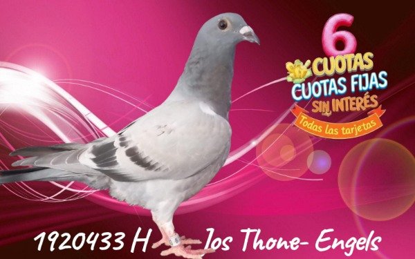 Producto - 1920433/25 Jos Thone Engels