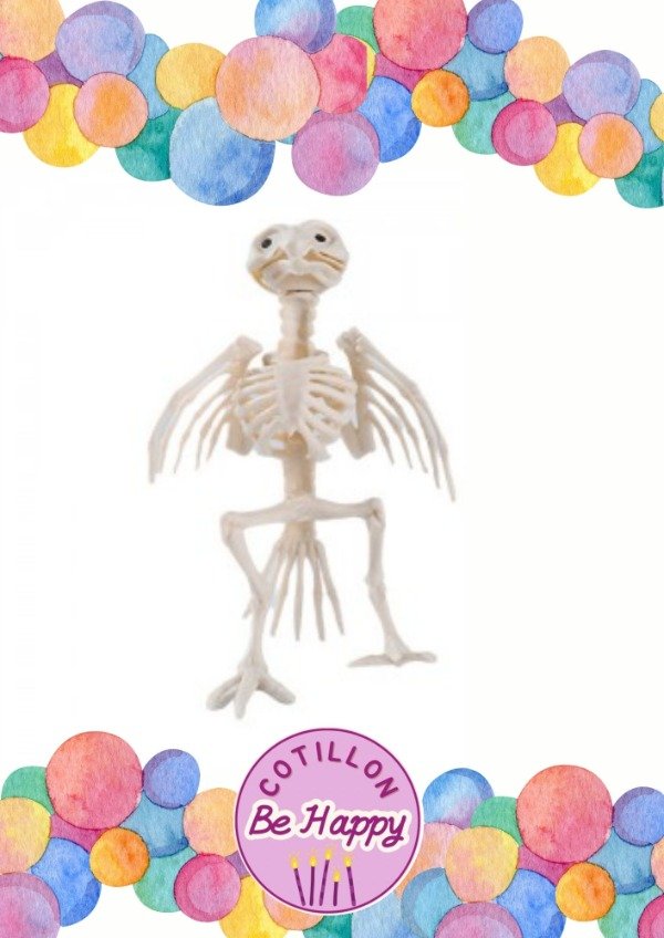 Producto - ESQUELETO DE LORO