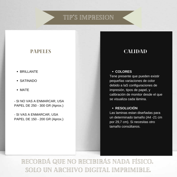 Miniatura de producto - 11