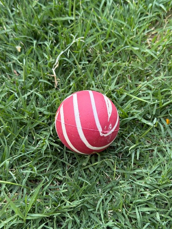 Producto - Pelota  Rebota