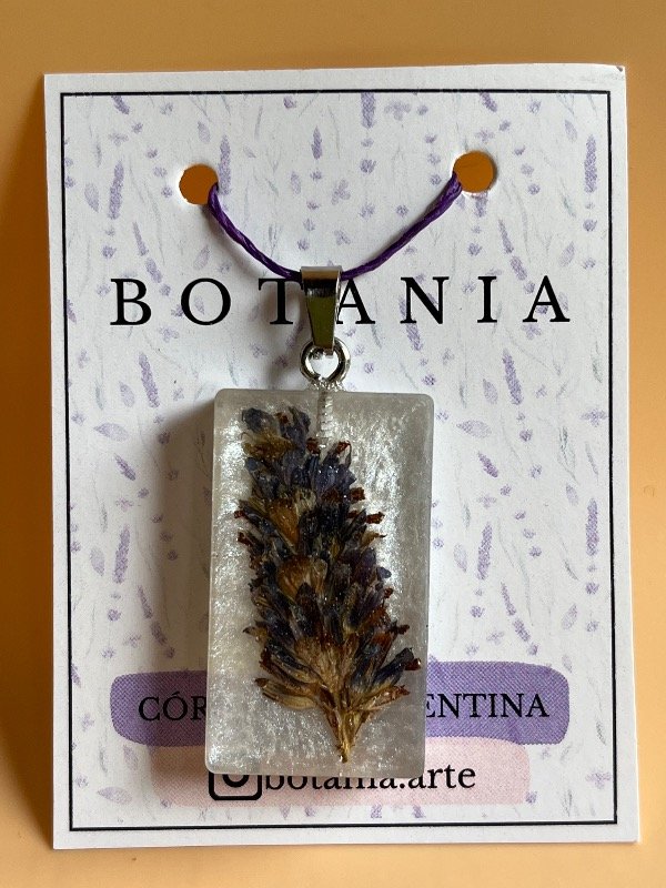 Producto - Lavanda 4