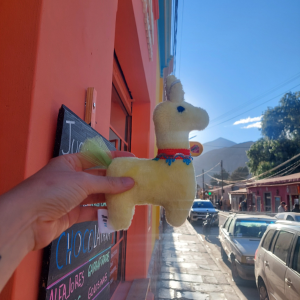 Producto - Llamita Amarilla