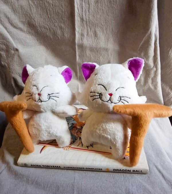 Producto - Maestro Karin