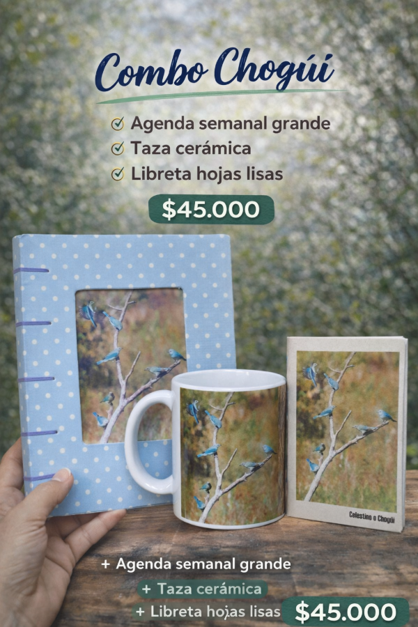 Producto - Combo Chogüí