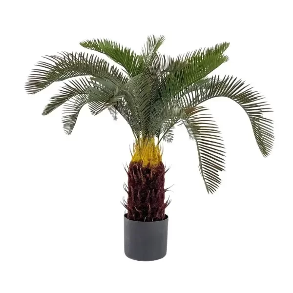 Producto - PALMERA 80CM