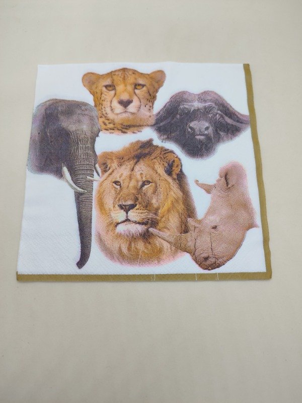Producto - Safari