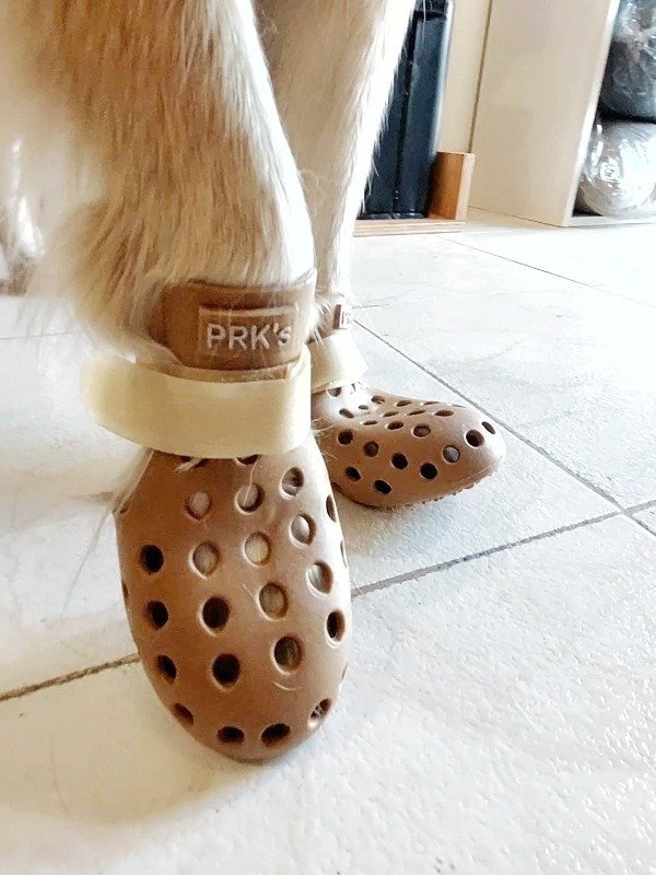 Producto - Crocs