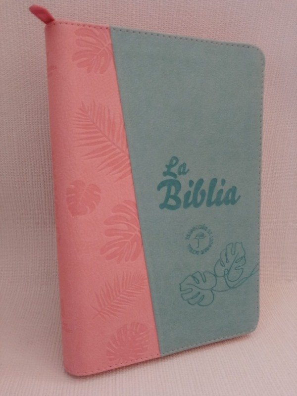 Producto - Biblia Traducción al Lenguaje Actual letra grande con cierre  canto plateado