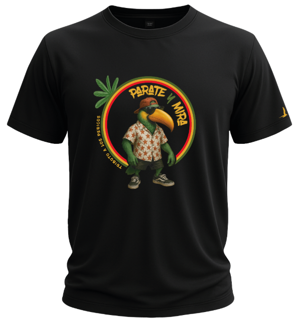 Producto - Remera Parate y Mira III